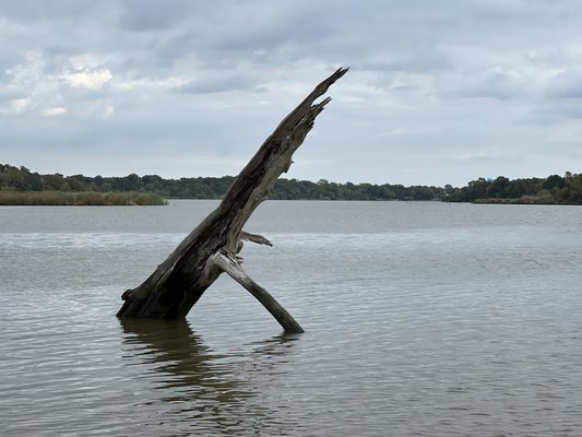 Armand Bayou Nature Center