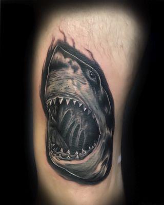 Shark on kneecap  Tattoo by Jayse... wed-sat