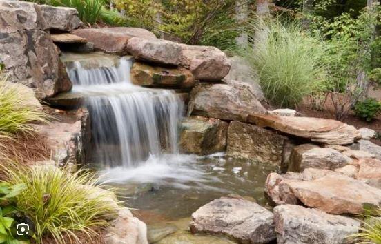 Water Feature and Pond Specialists