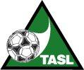 Triangle Adult Soccer League