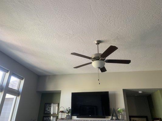 11' ceiling in great room