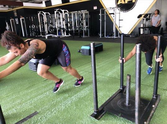 Getting in some sled pushes