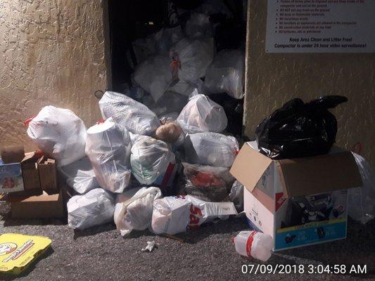 HORRIBLY DISGUSTING FILTH OVERFLOWING FROM THE ONLY DUMPSTER AT TGE HAMPTON CONDOMINIUM COMPLEX!