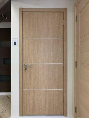 Modern house interior 3 stripe stainless steel door