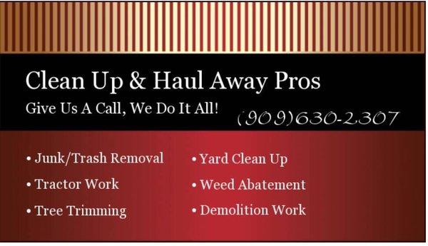 Clean Up & Haul Away Pros