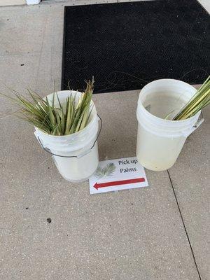 Blessed palm fronds for pick up /Holy Week