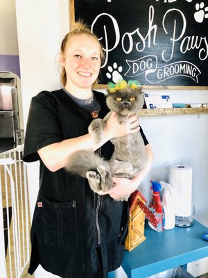 Our cat Lana looking so beautiful after her grooming.