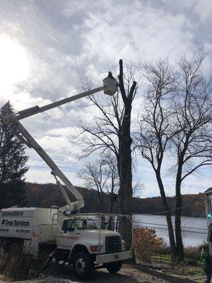 Smoothies Tree Service