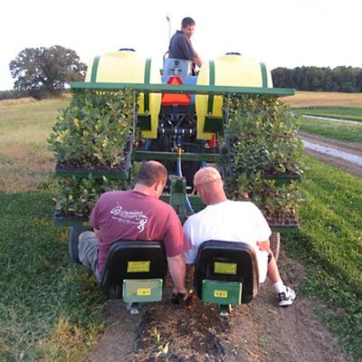 kansas city st joe local aronia berry grower