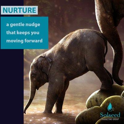 Nurture Campaigns should help your business move forward while creating new opportunities and digging deeper with your current clients.