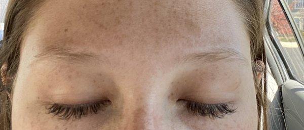 Pre eyebrow tint