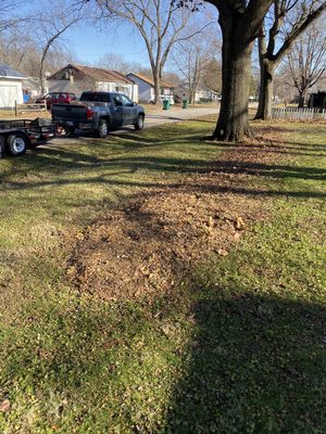 Leaves and debris cleanup