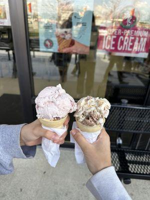 Strawberry and Halley's Comet scoops