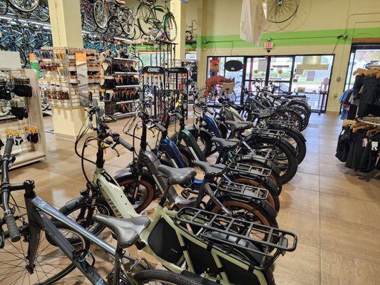 Bill Lewis checking out the Alan's Bike Center in Vero Beach.