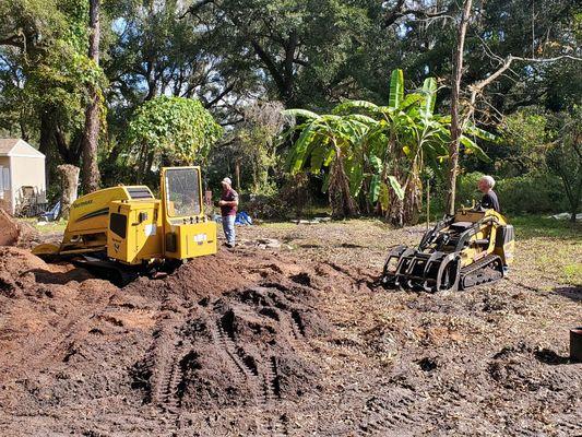 Tree Removal with stump grinding