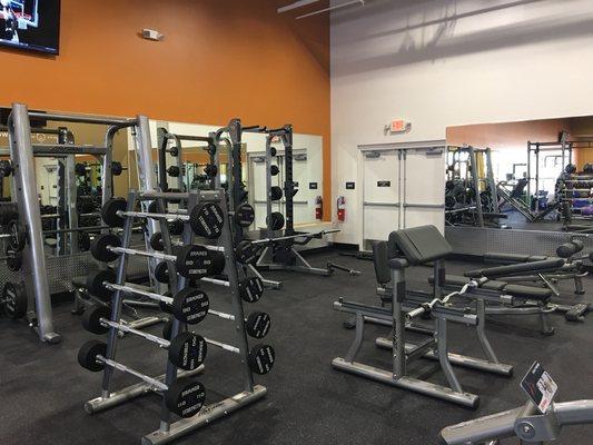 Plenty of free weights and racks