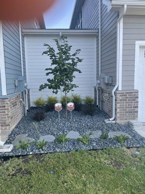 Landscape work in front yard