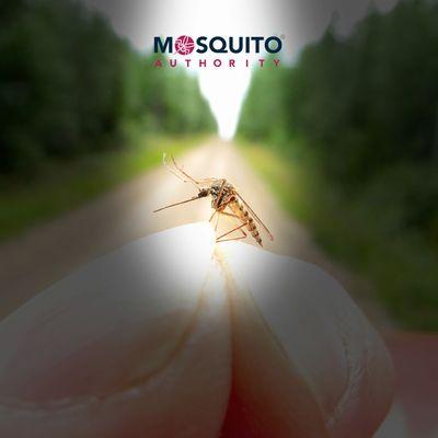 Mosquito Authority