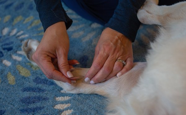 Acupuncture treatment