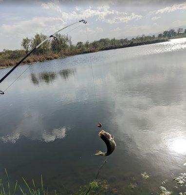 You can bass fish at Lowell Ponds, just a 1/2 mile walk from Delux.