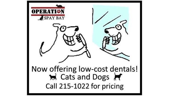 Spay Bay Dental