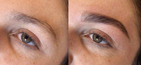 Eyebrow Wax and Tint