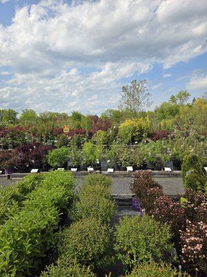 Meadows Farms Nurseries and Landscape