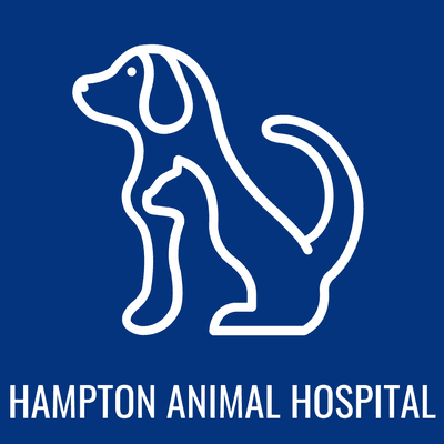 Hampton Animal Hospital