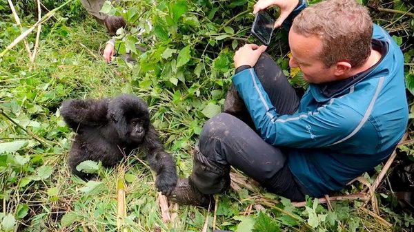 Gorilla Trekking in Bwindi National Park Uganda