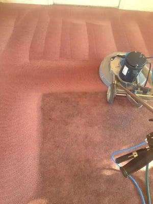 Big Green Steam Clean of Logan Utah - Rotary extraction carpet cleaning in logan utah