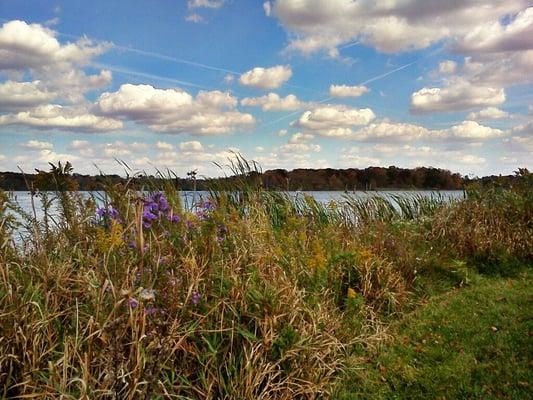 Shabbona Lake State Park