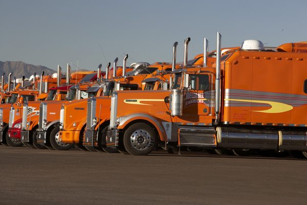 Reliable Carriers has a fleet of over 350+ specialized auto transporters.