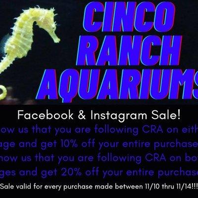 Cinco Ranch Aquariums