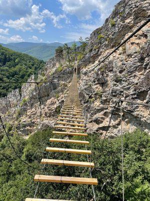 Ladder bridge