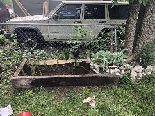 My Arbor Day trees needed a safe place