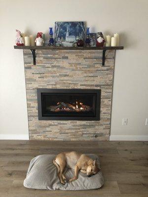 Dixie, enjoying the warmth from our new Enviro linear fireplace, purchased from, and installed by, Haven Spa Pool & Hearth.