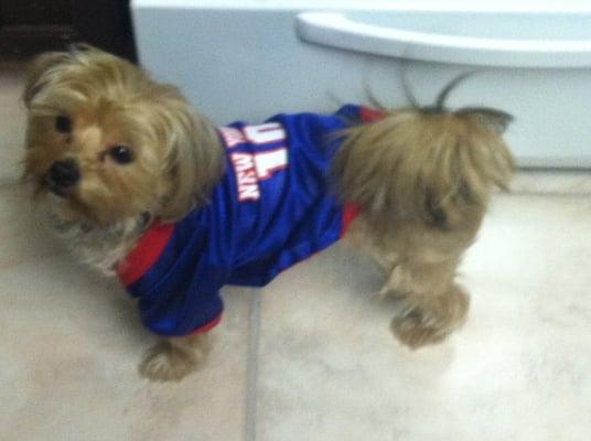 My Teddy with his Giants jersey