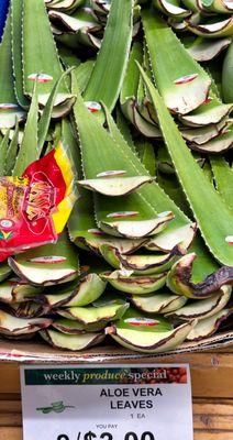 Aloe Vera Leaves