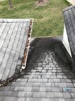 Gutter Cleaning Service Project in Fairfax VA Wash Out Now Soft Washing