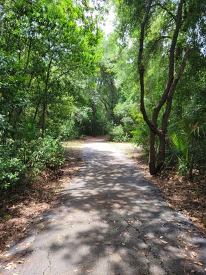 Walking trail