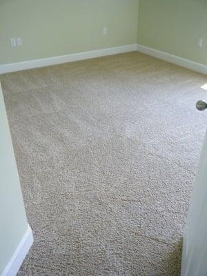 Clean Carpets in Branson, MO