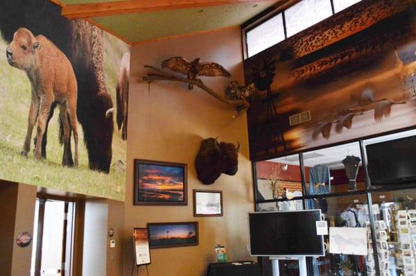 Wild About Nature Display in the Crane Trust Nature & Visitor Center lobby.