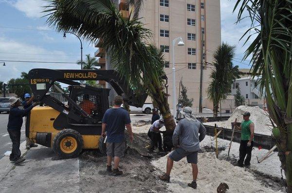 Our crew on a landscape installation job site.