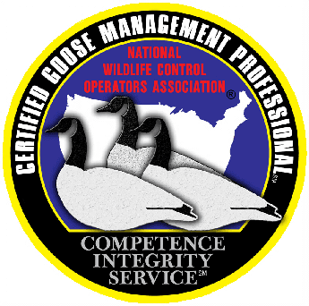 Stalk and Awe Geese Management Services LLC