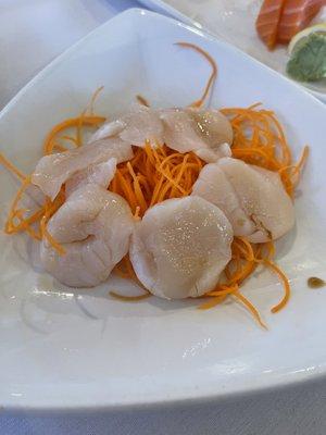 Scallop sashimi