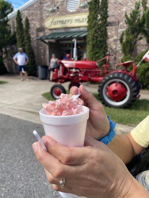 Watermelon ice cream