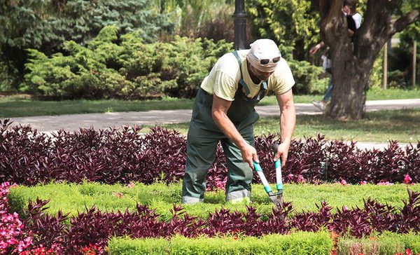 Meticulous craftsmen taking care of your lawn