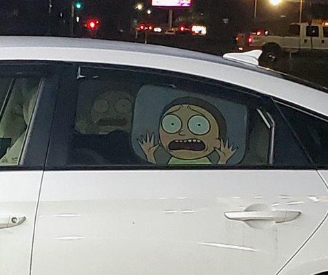 We'll save you, Morty!