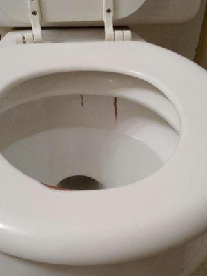 Toilet with mold