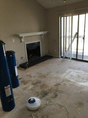 Totally eliminated a combination of cigarette, marijuana and pet odors in a badly abused apartment. (Jan '18 - Greensboro)